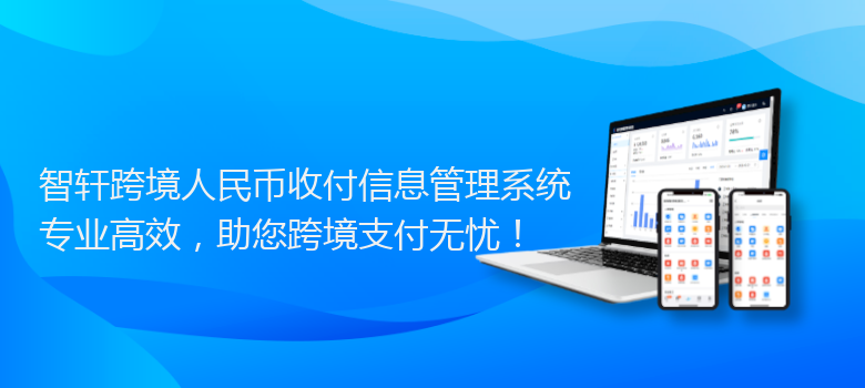 跨境人民币收付信息管理系统